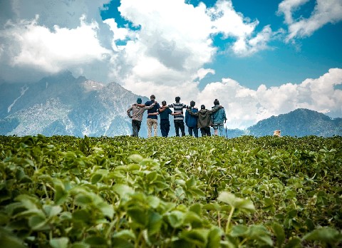 Group Tour