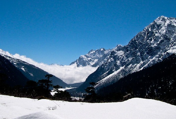 yumthang-valley